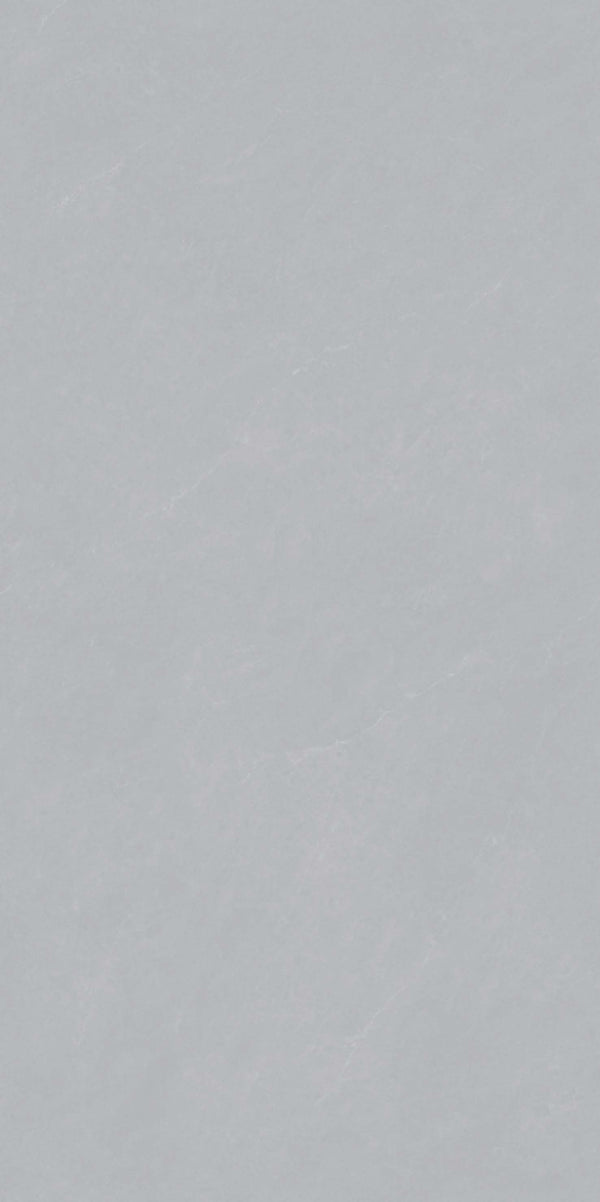 Grey Slate Elegance 1200x600 MM