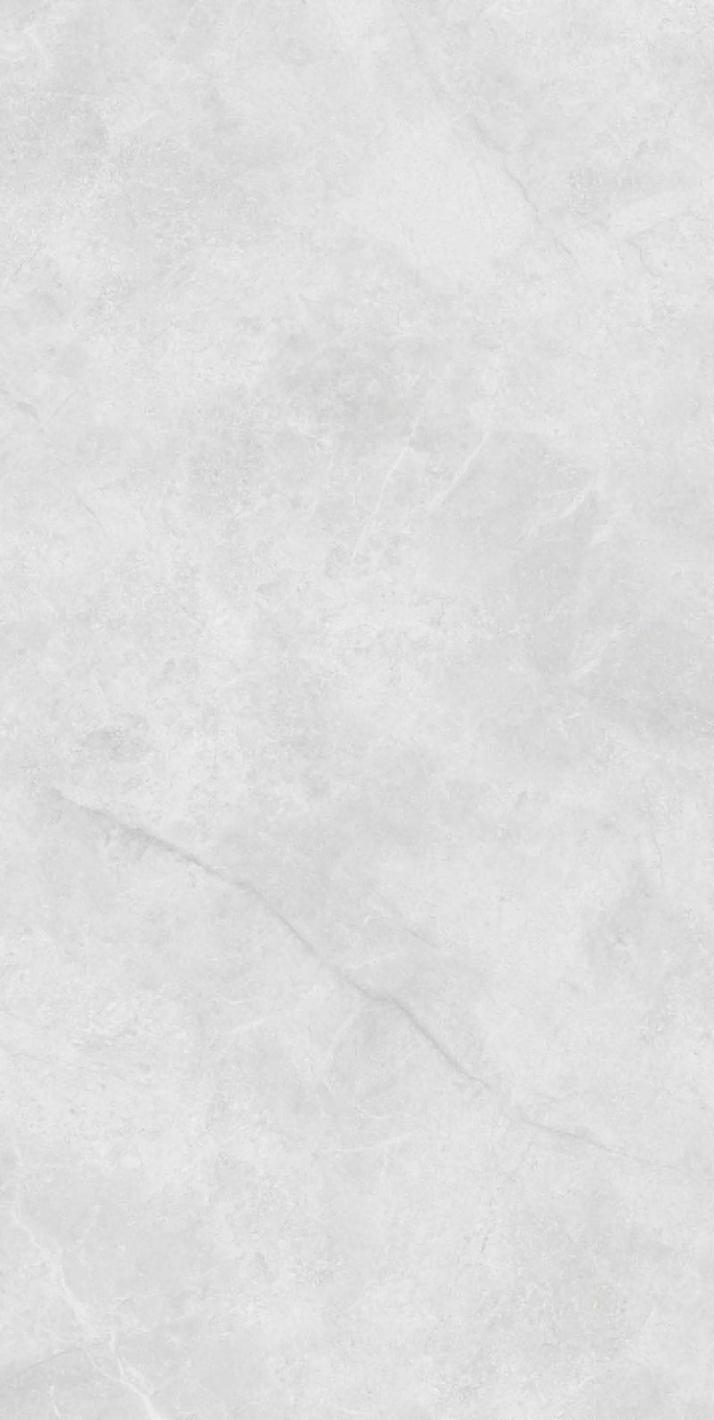 Light Grey Arctic Mist 1200x600 MM